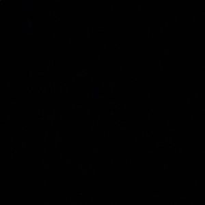 Meet your Posher, Roy